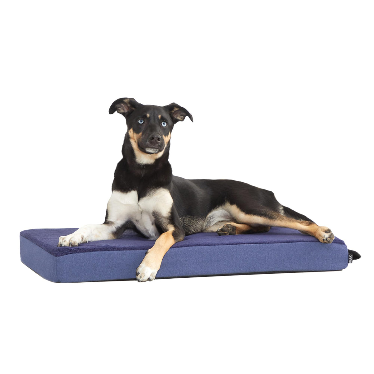 BarkBox Orthopedic Dog Bed shown from the front.