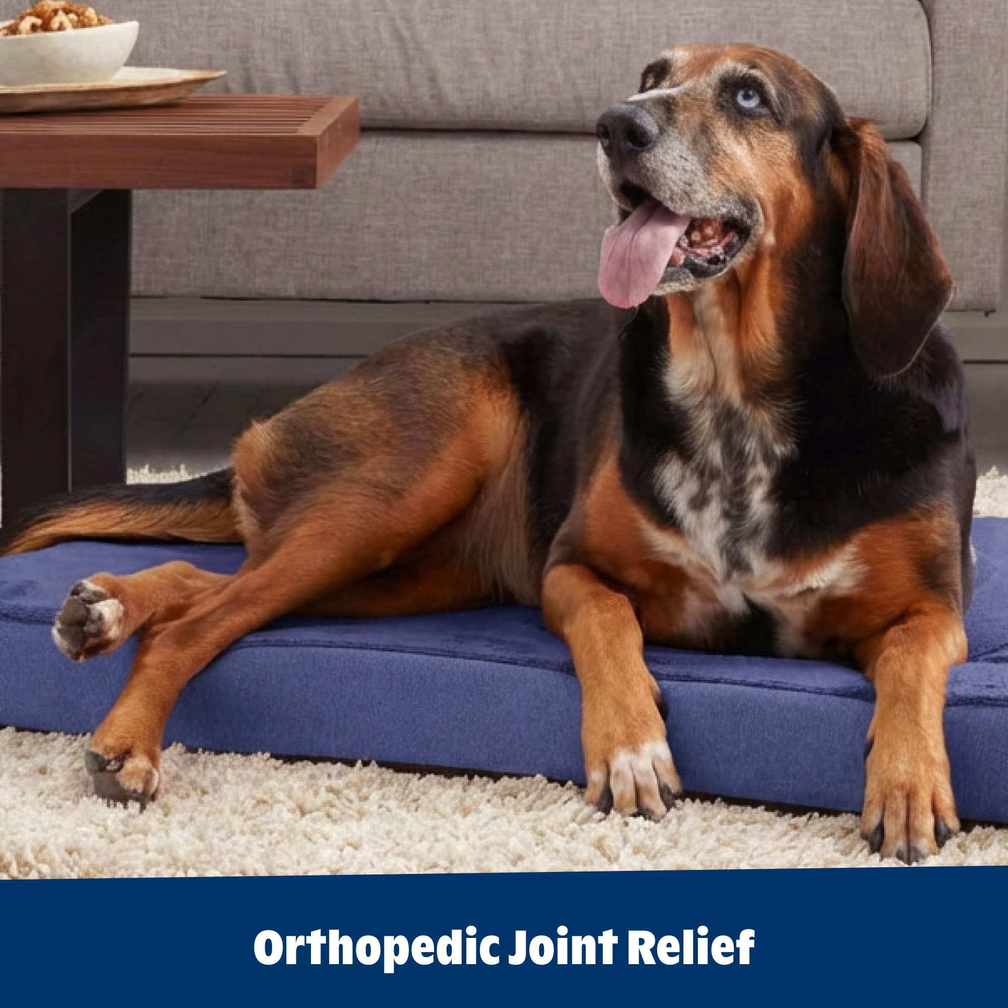 BarkBox Orthopedic Dog Bed shown as a washable resting place for everyday use.