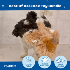 BarkBox plush dog toy Dingbert the Dragon with crinkly wings.