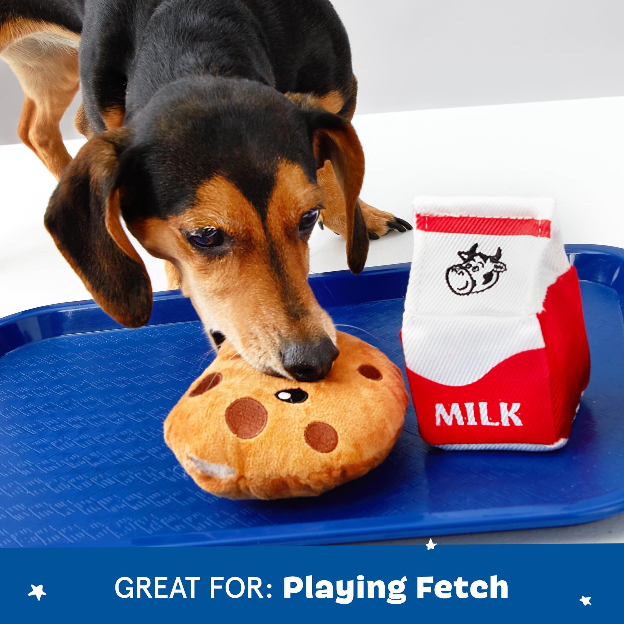BarkBox Afterschool Snack Pack cookie toy detail showing its squeaker feature.