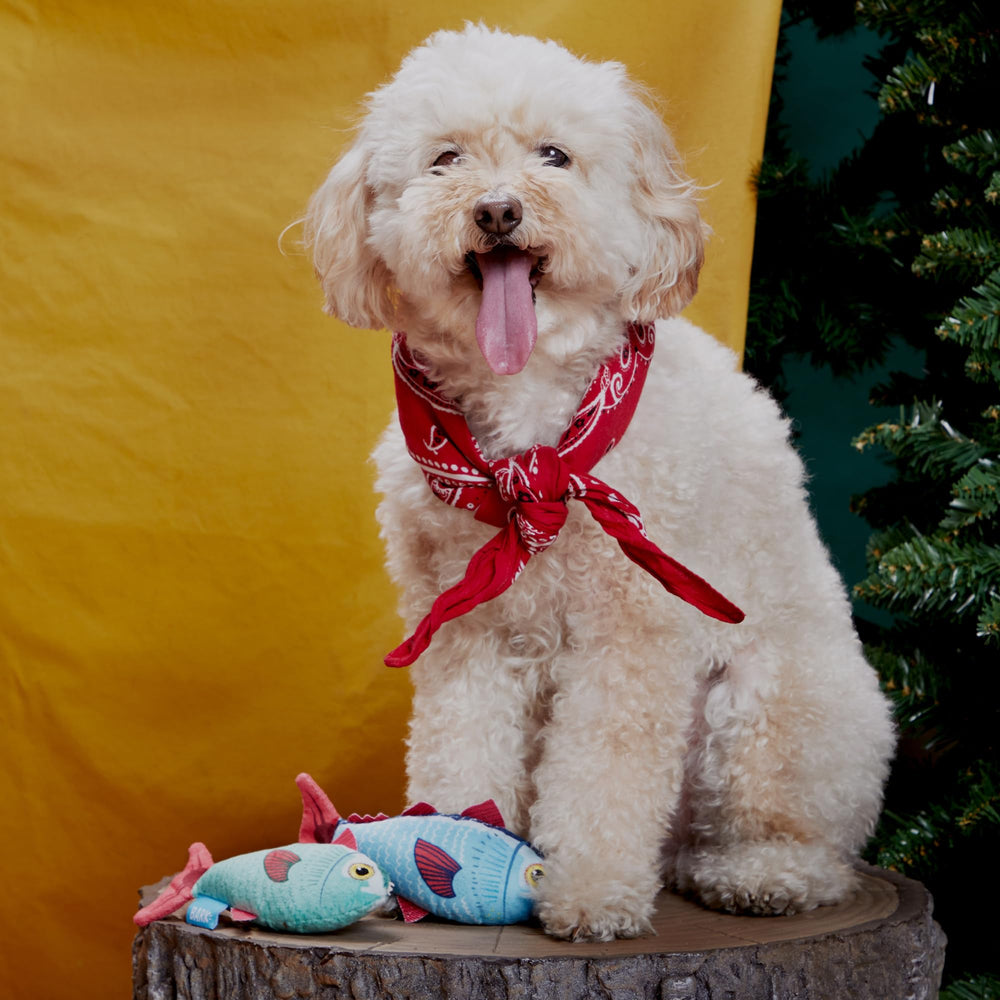 BarkBox Mike & Mike Trout Twins dog toy shown during shake-and-thrash play.