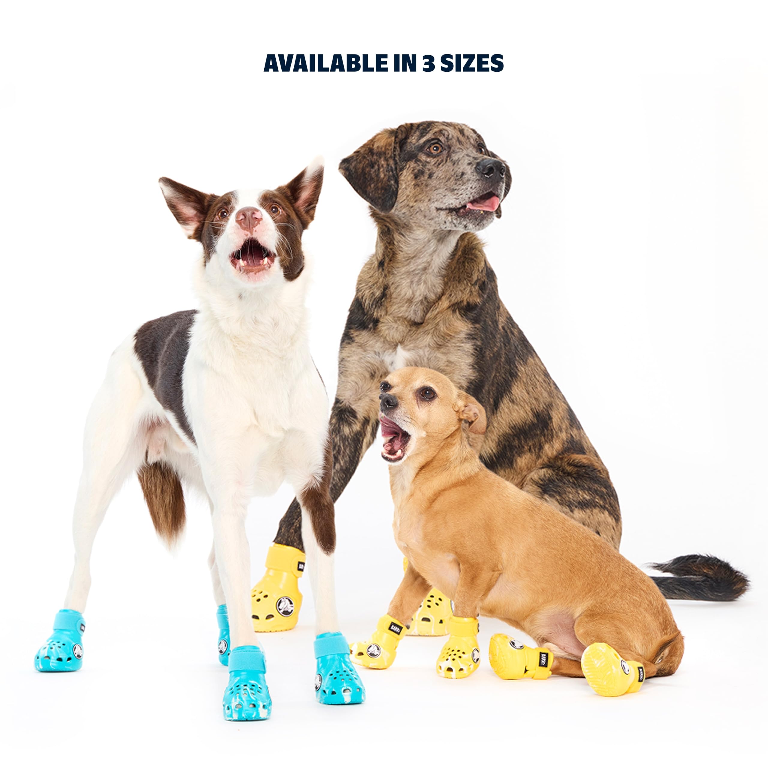 BARKBOX Yellow Crocs Dog Shoes arranged as a matching set of four.