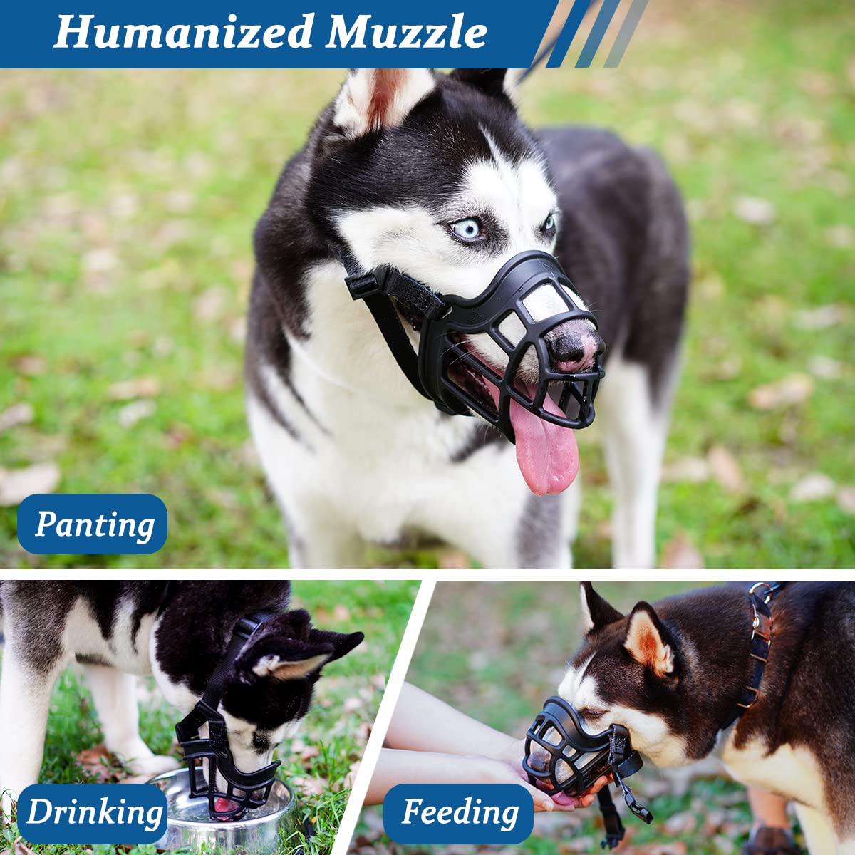 BARKLESS dog muzzle shown alongside treats for gradual introduction.