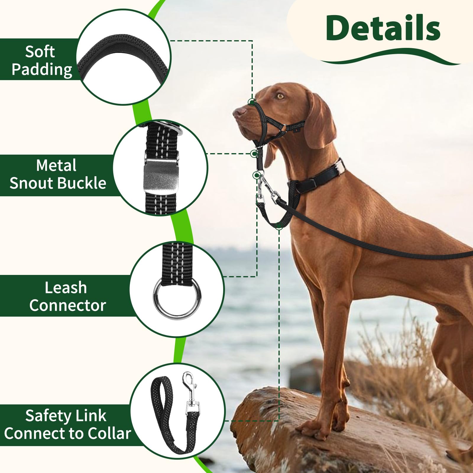 BARKLESS head collar shown in one of its available color options.