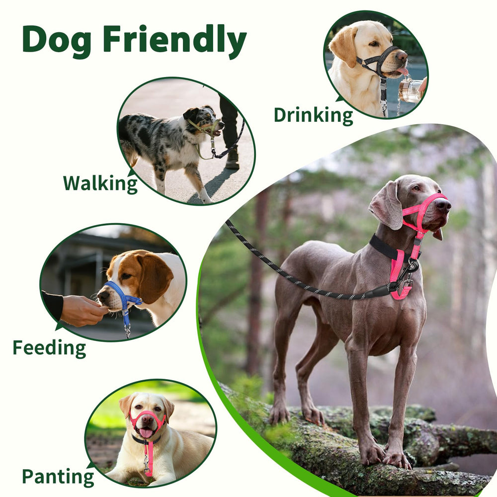 BARKLESS head collar worn by a dog during a walk.