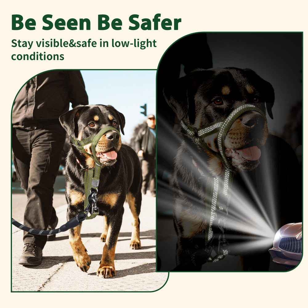 BARKLESS head collar detail showing the safety link for attachment to a regular collar.