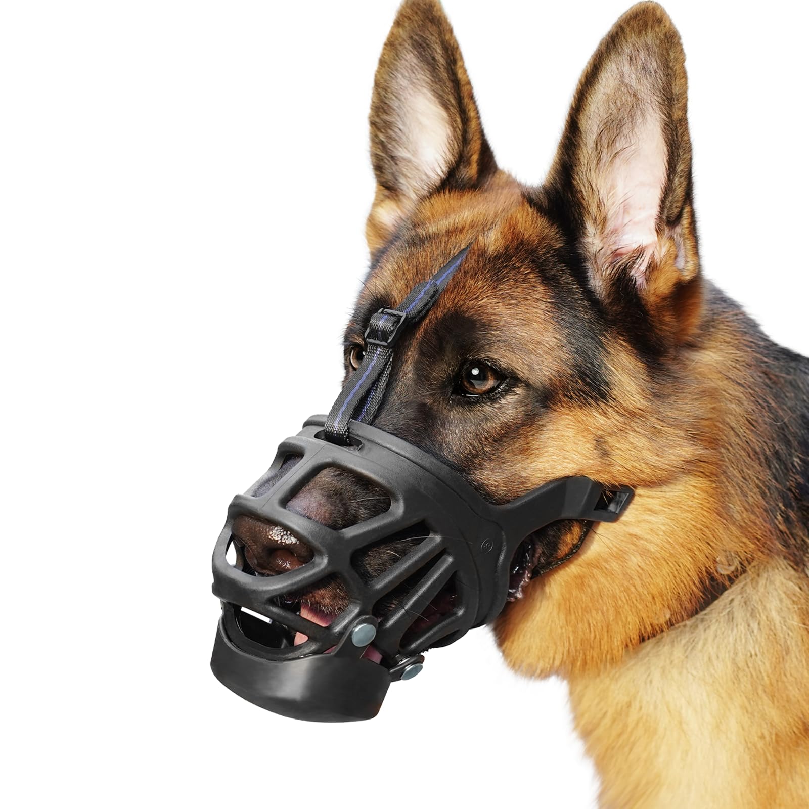 BARKLESS XS basket muzzle shown from the front.
