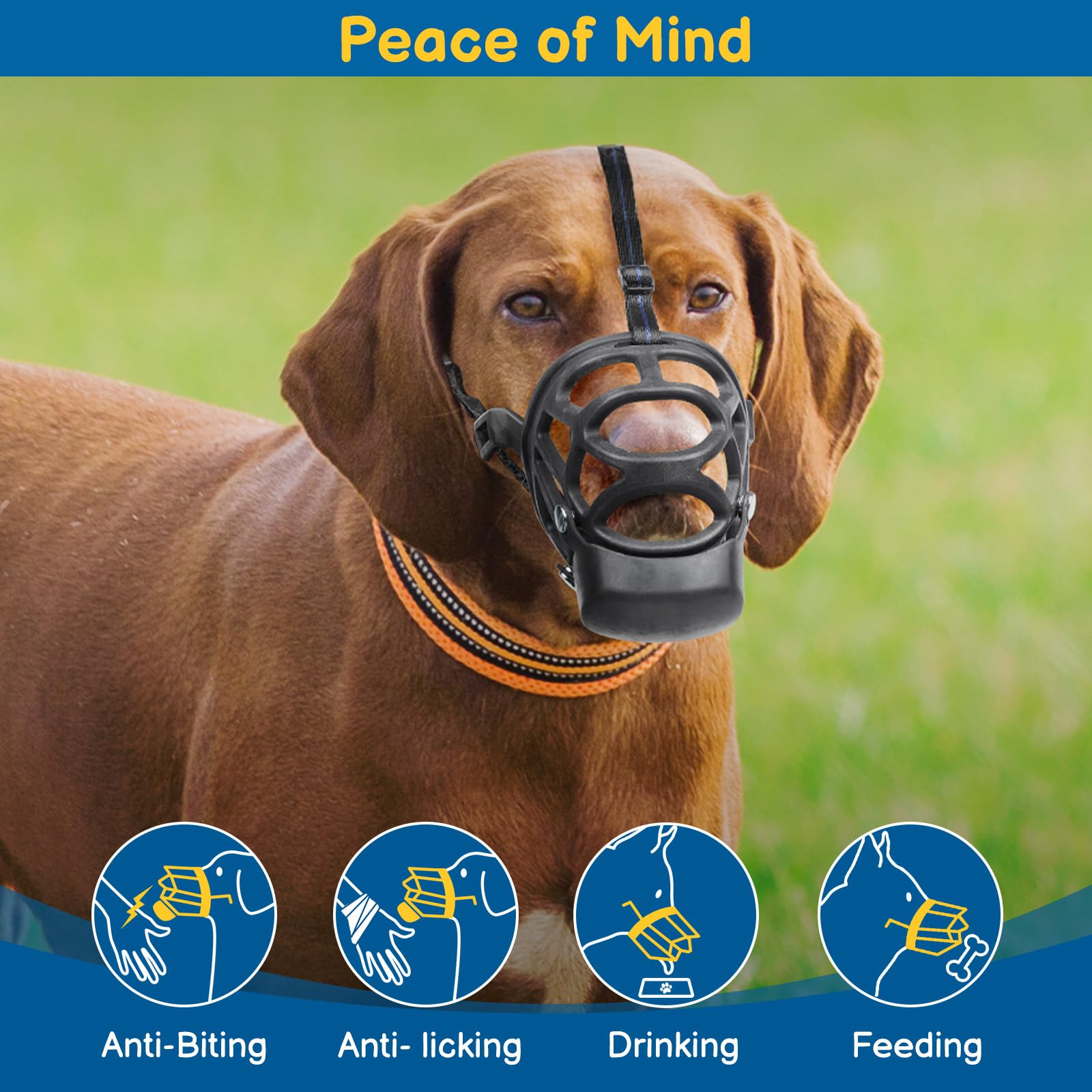 A dog wearing the BARKLESS XS basket muzzle.
