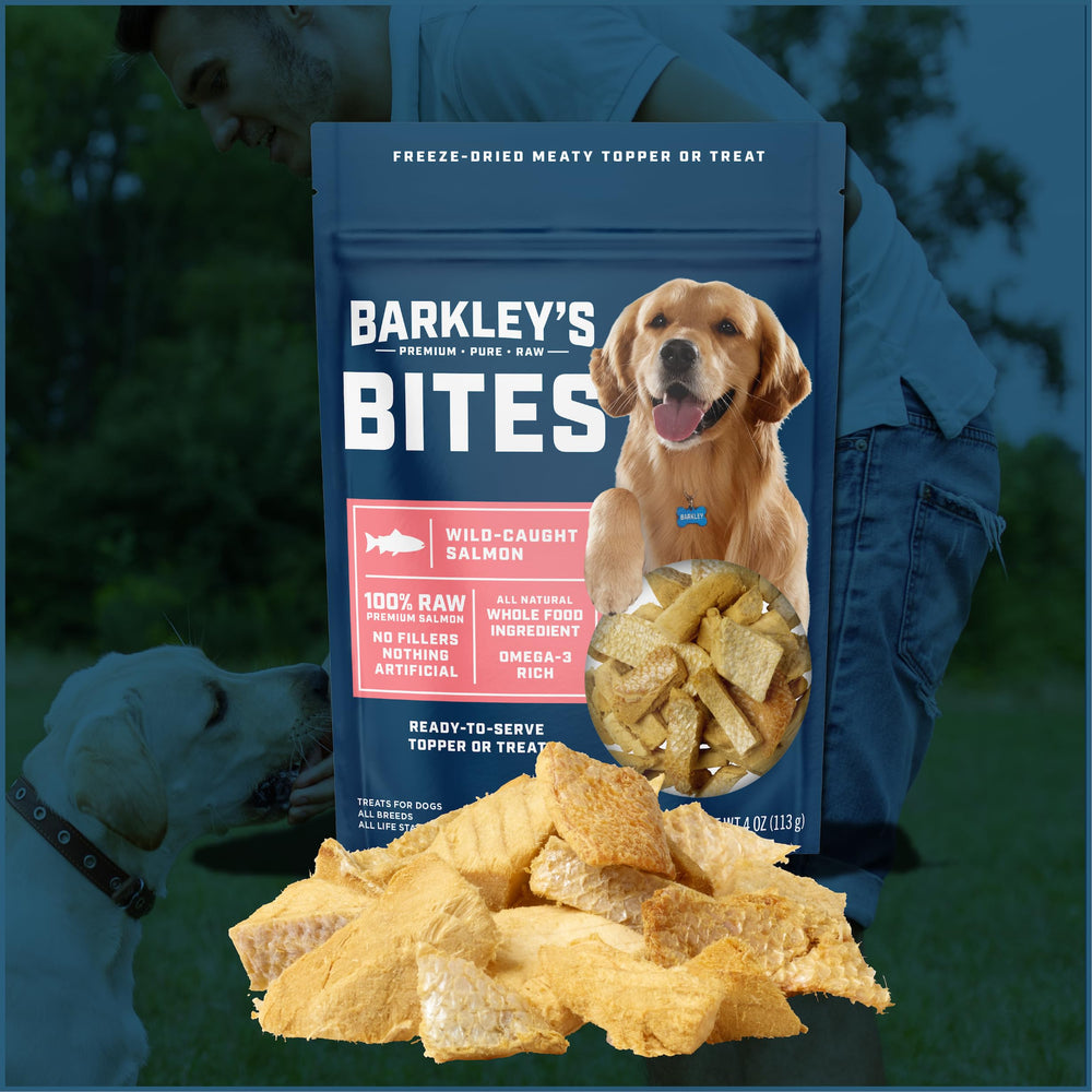 Barkley’s Salmon Bites bag shown from the back with product information.