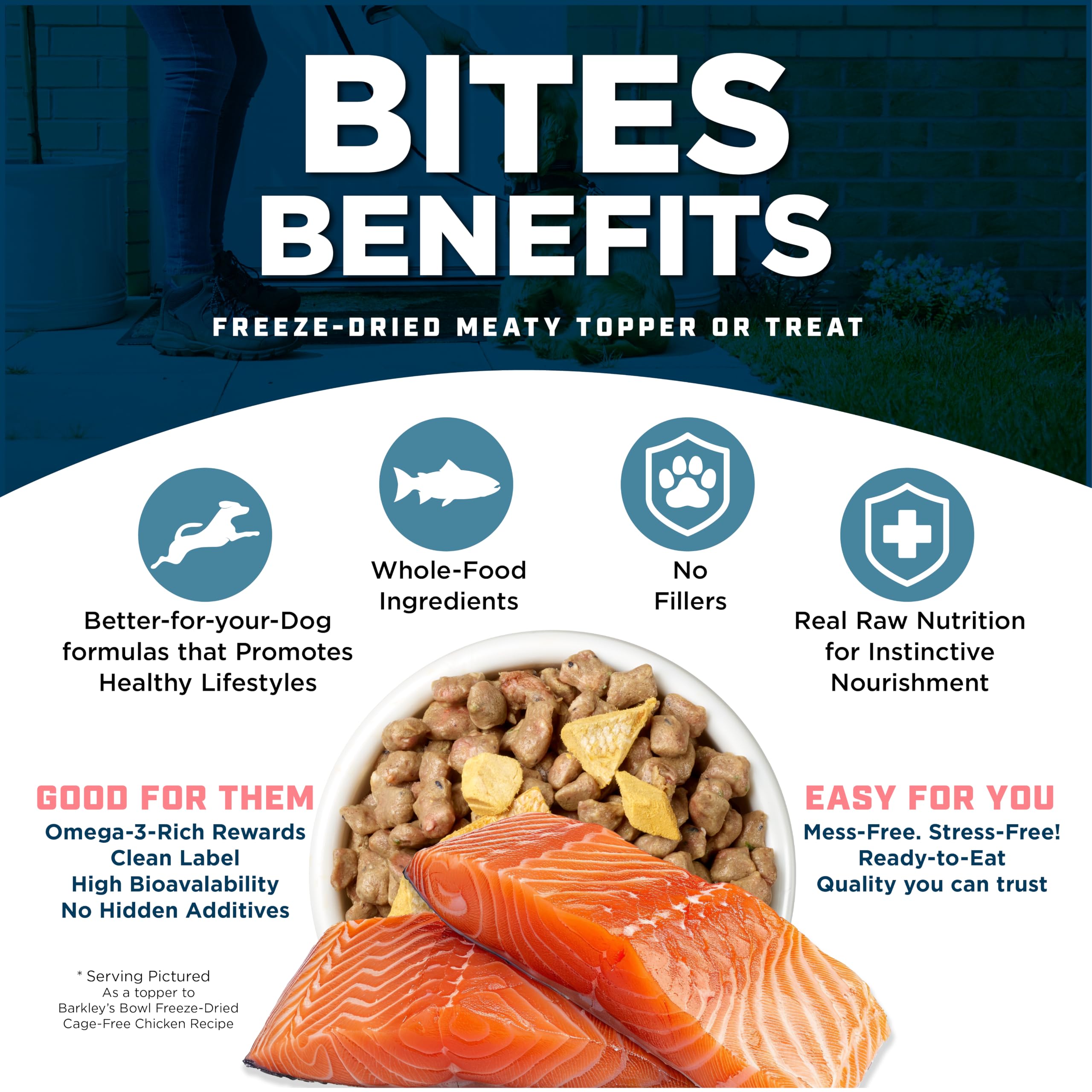 Barkley’s Salmon Bites shown sprinkled over a dog’s meal as a topper.