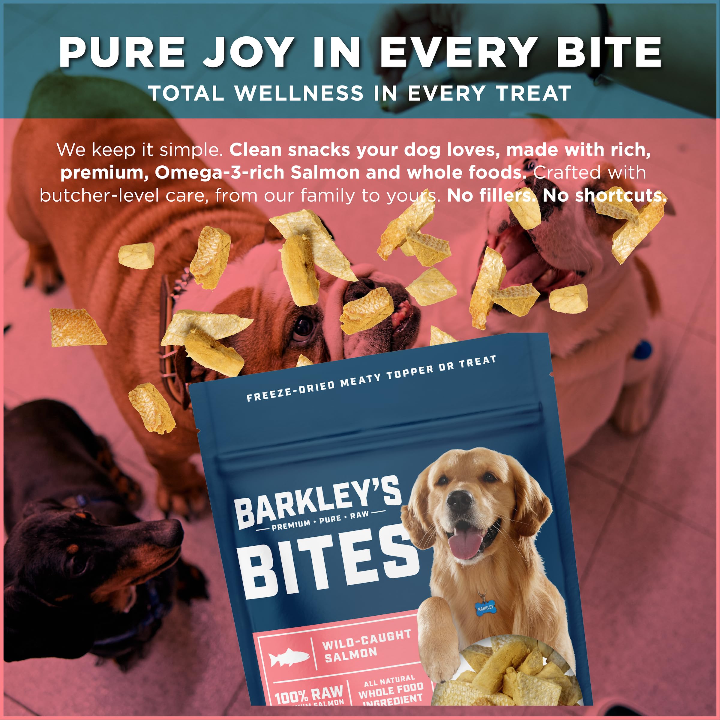 Barkley’s Salmon Bites freeze-dried nuggets shown in a close-up.