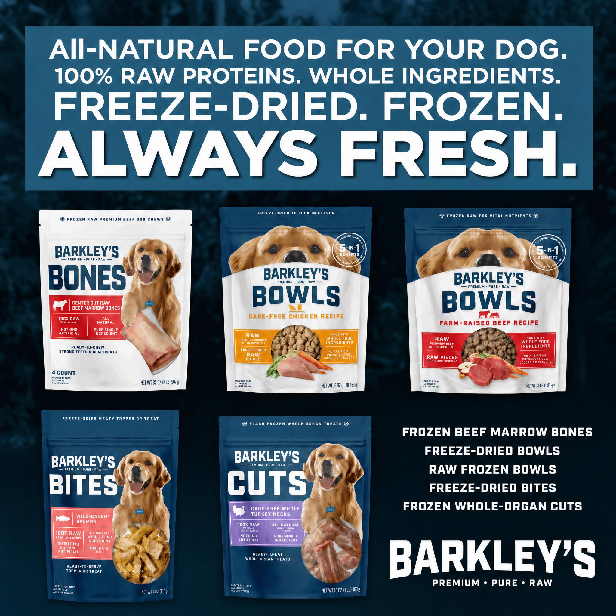Barkley’s Salmon Bites product bag shown from an alternate angle.