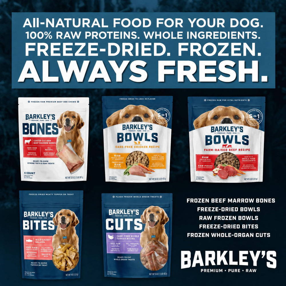 Barkley’s Salmon Bites product bag shown from an alternate angle.
