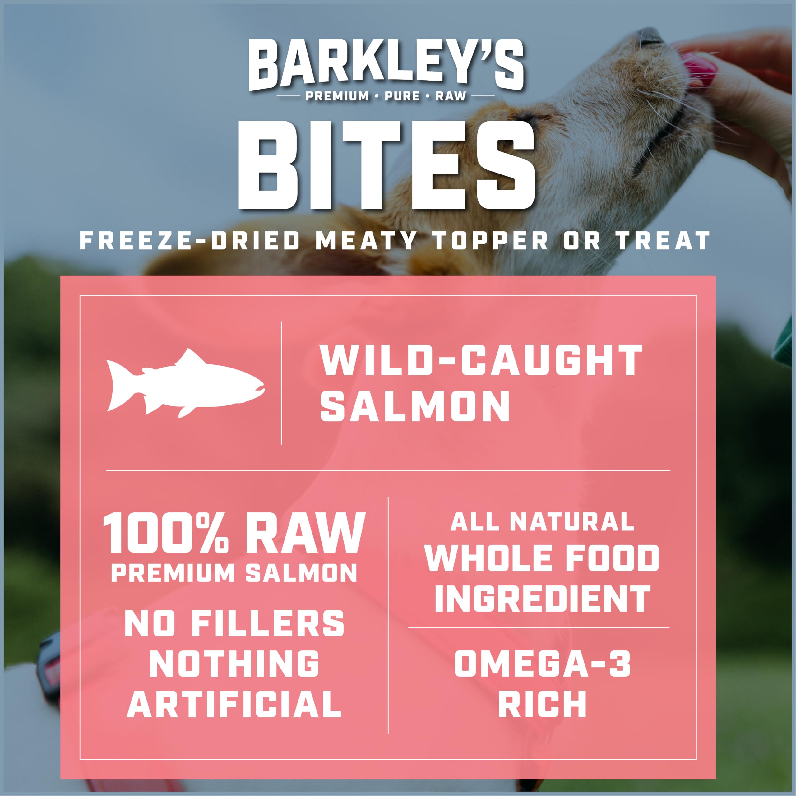 Barkley’s Salmon Bites shown ready to serve as a supplemental dog treat.