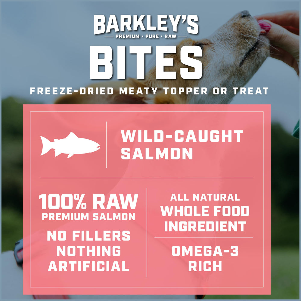 Barkley’s Salmon Bites shown ready to serve as a supplemental dog treat.