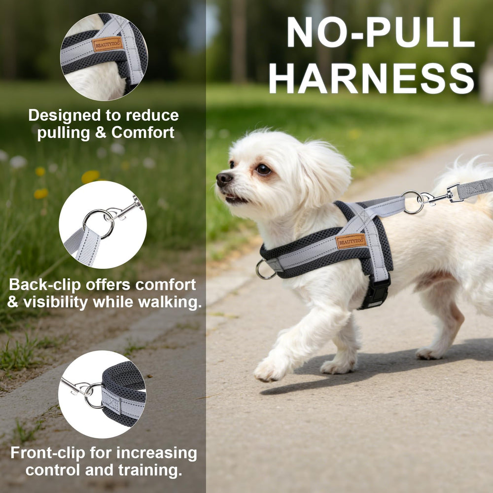 BEAUTYZOO bungee leash detail showing its swivel metal hook.