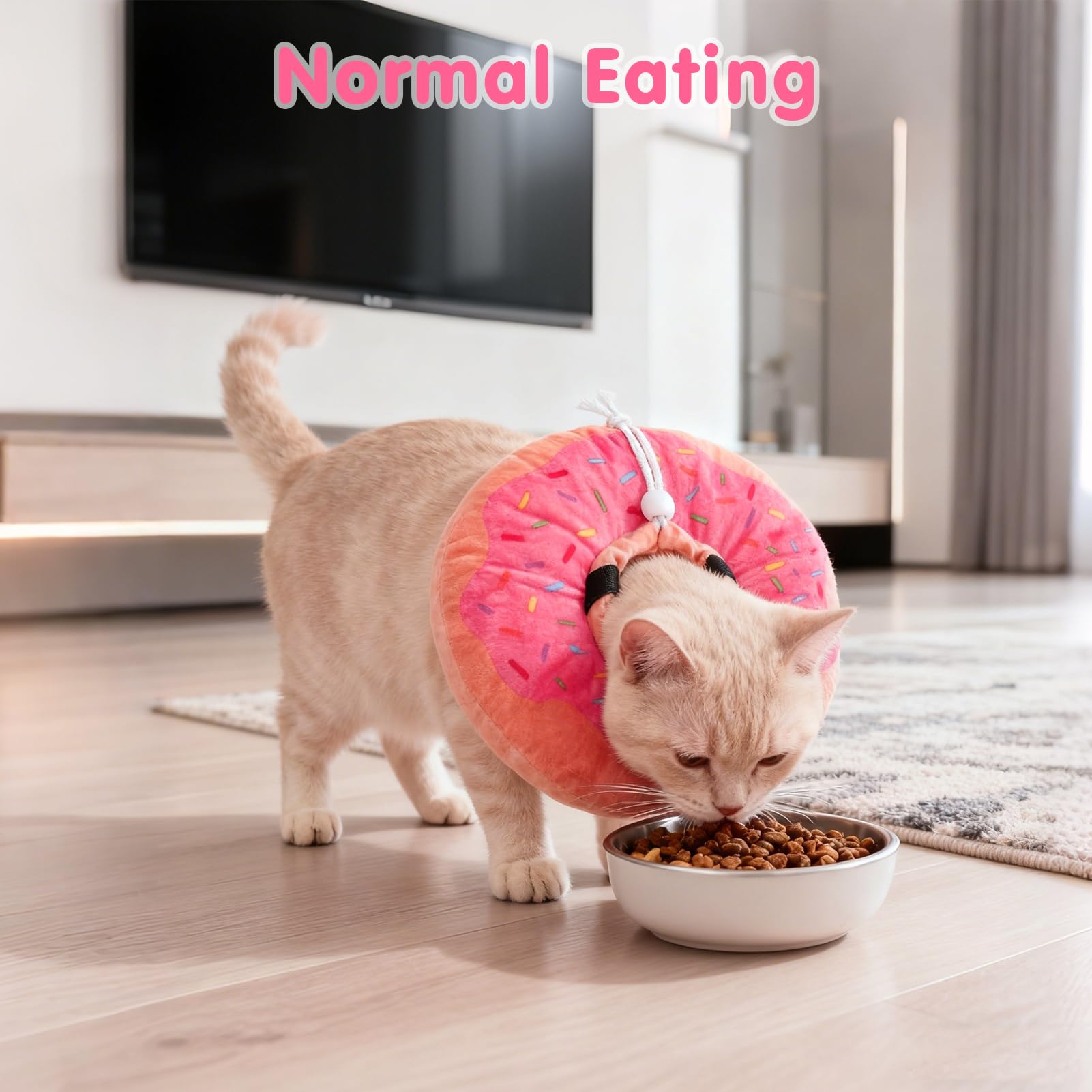 BEAUTYZOO Cat Cone Collar shown worn by a cat.