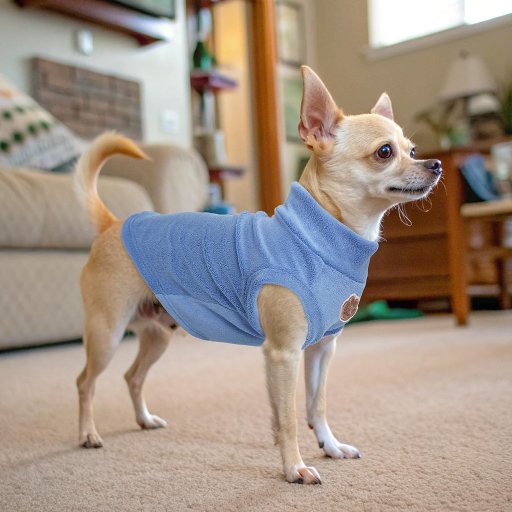 BEAUTYZOO cat sweater shown from the back to display its overall coverage.