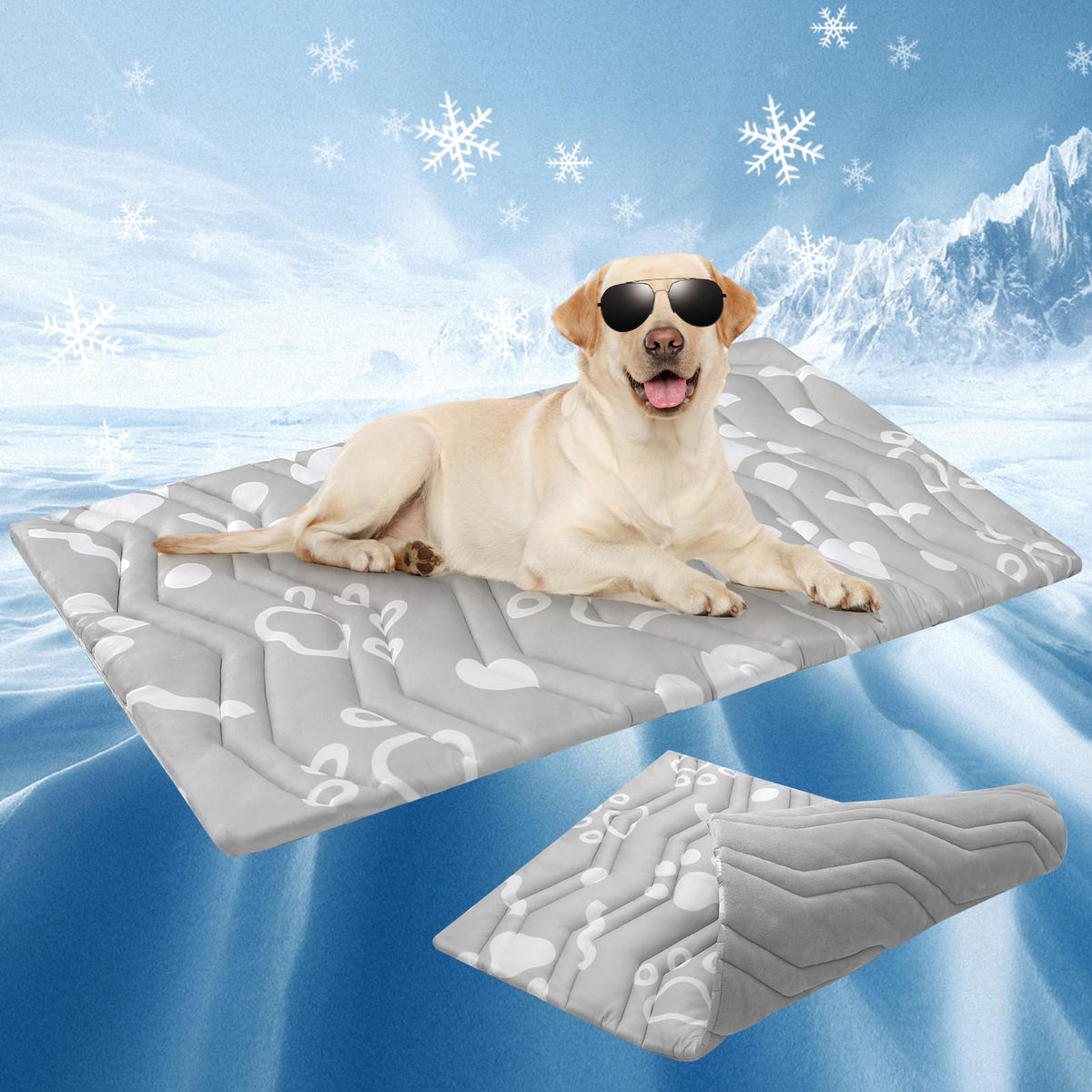 BEAUTYZOO Dog Bed Mat shown from the front to display its overall design.