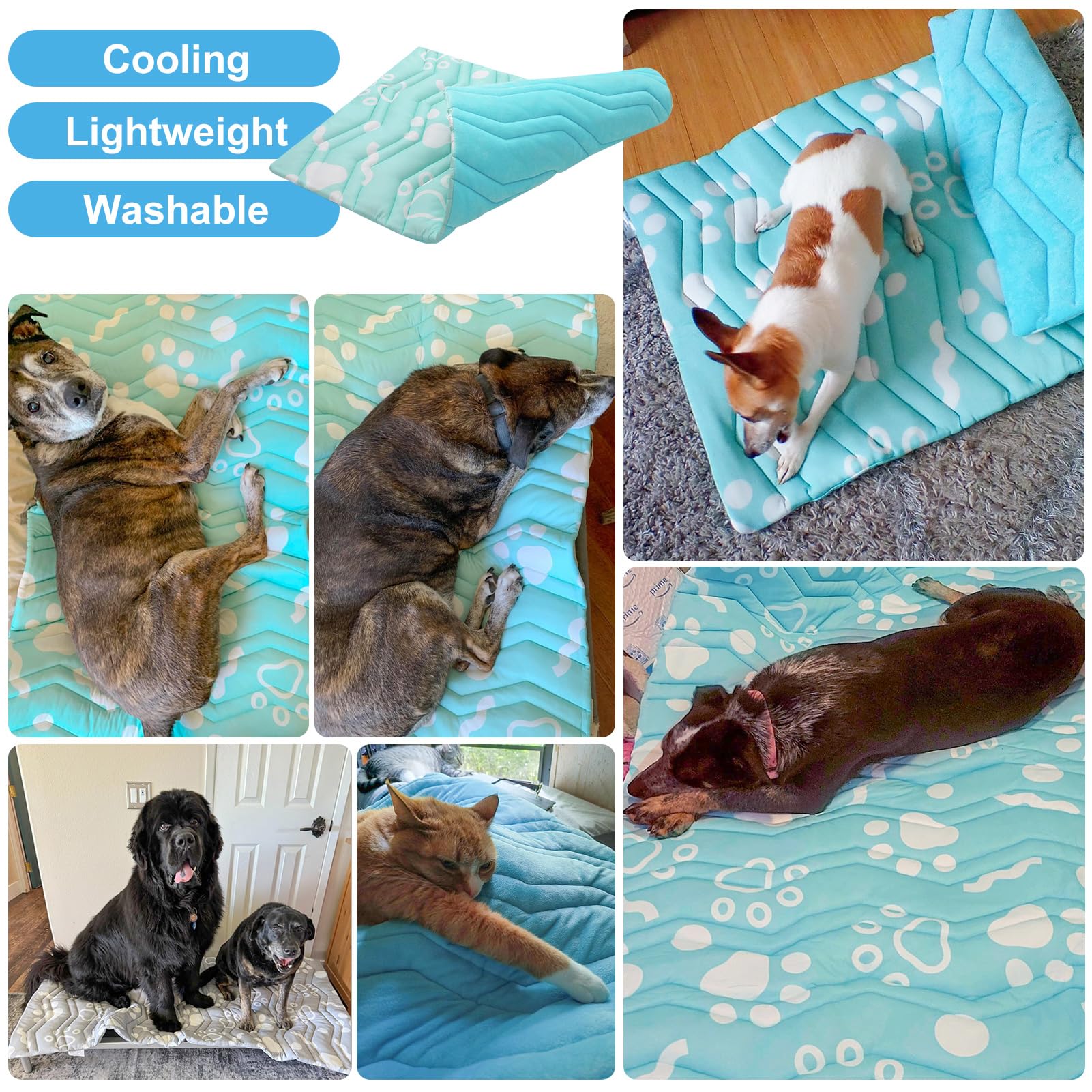 BEAUTYZOO Dog Bed Mat placed inside a dog crate.