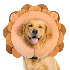 BEAUTYZOO dog donut collar shown from the front.