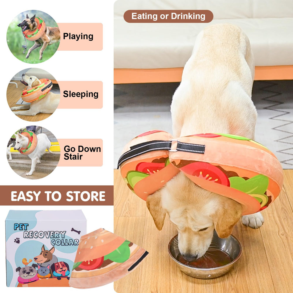 BEAUTYZOO dog donut collar with inner strips for a pet's everyday collar.