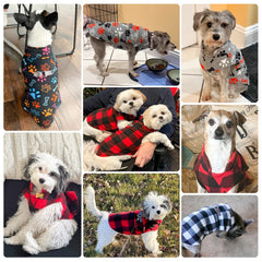 BEAUTYZOO Dog Fleece Vest neckline showing the triangular ribbed collar.