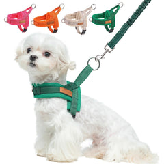 BEAUTYZOO dog harness and leash set shown together from the front.
