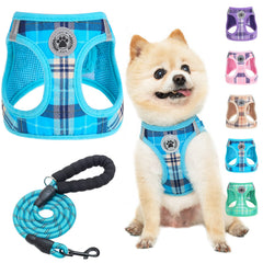 BEAUTYZOO dog harness and leash set shown from the front.