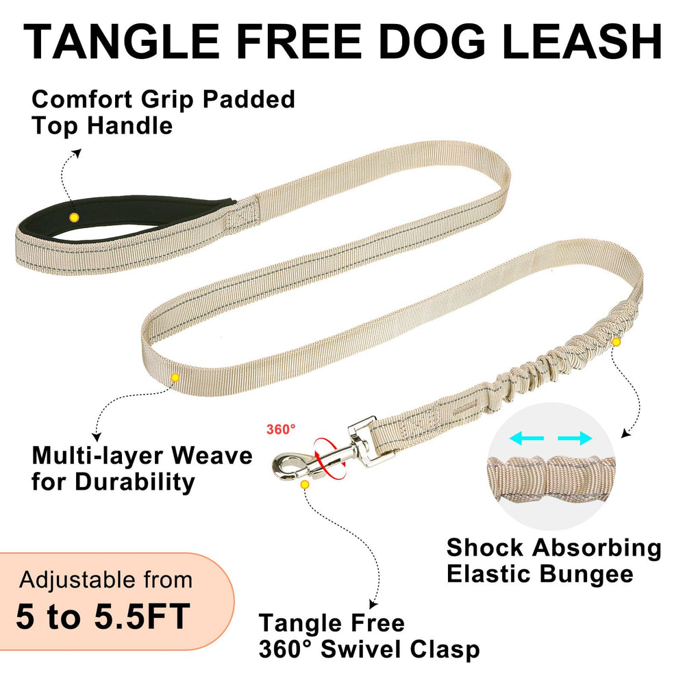 BEAUTYZOO dog harness strap detail showing reflective stitching.