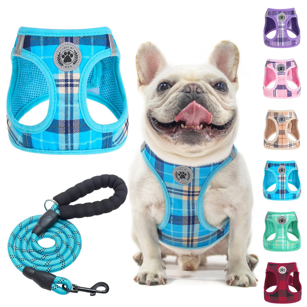 BEAUTYZOO dog harness and leash set shown from the front in blue.