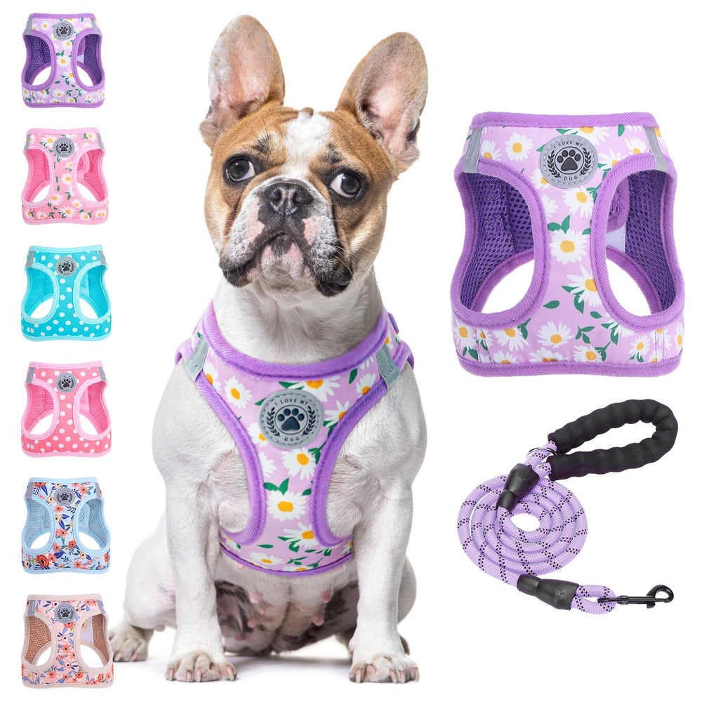BEAUTYZOO dog harness and leash set shown together from the front.
