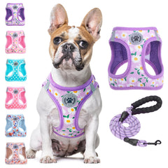 BEAUTYZOO dog harness and leash set shown together from the front.