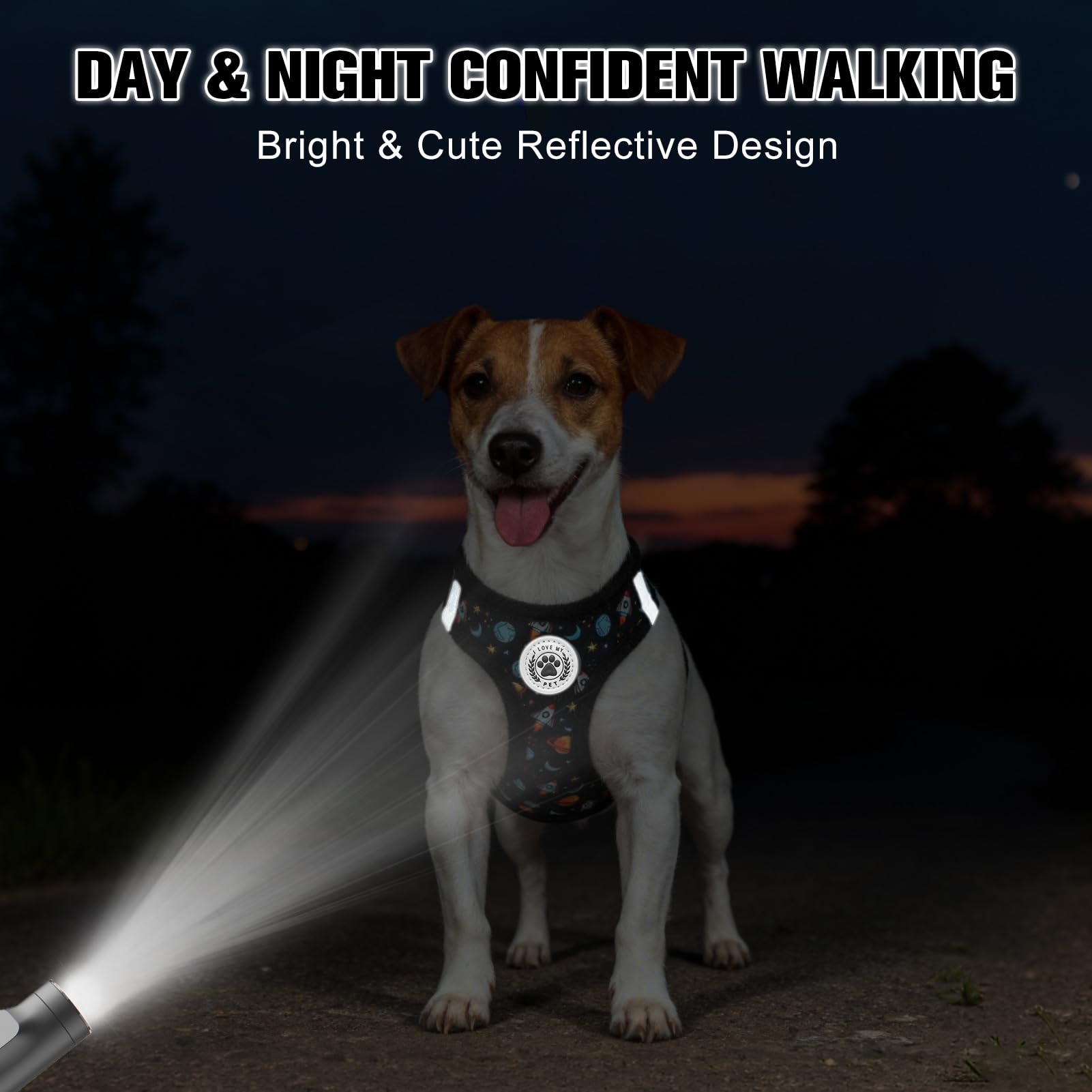 BEAUTYZOO dog harness shown in its step-in vest style for pet walks.