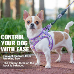 BEAUTYZOO dog harness shown fitted on a pet.