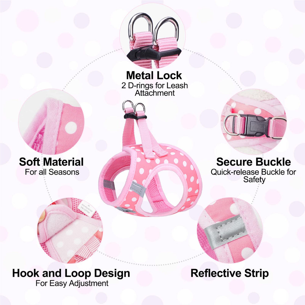 BEAUTYZOO dog leash close-up showing its padded handle.