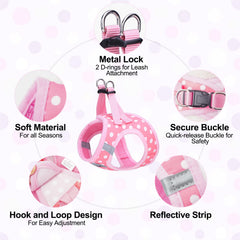 BEAUTYZOO dog leash close-up showing its padded handle.
