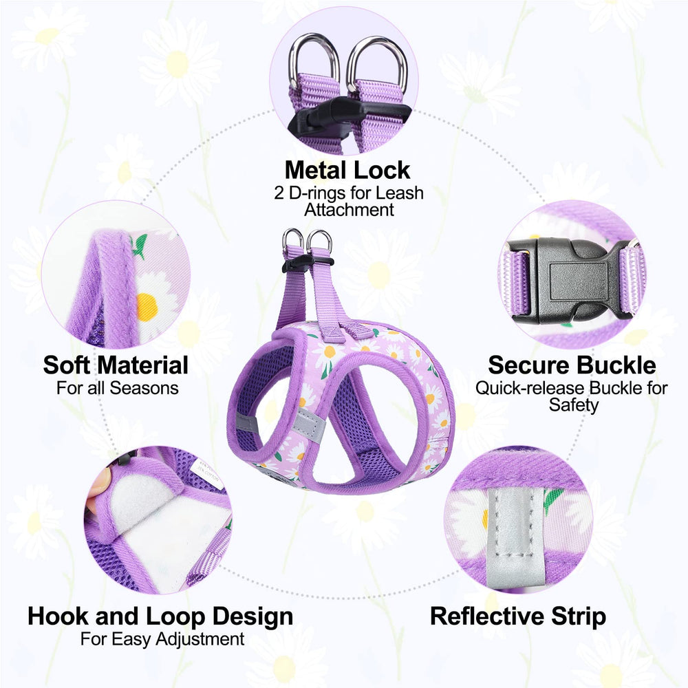 BEAUTYZOO dog leash close-up showing the swivel hook.