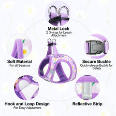 BEAUTYZOO dog leash close-up showing the swivel hook.