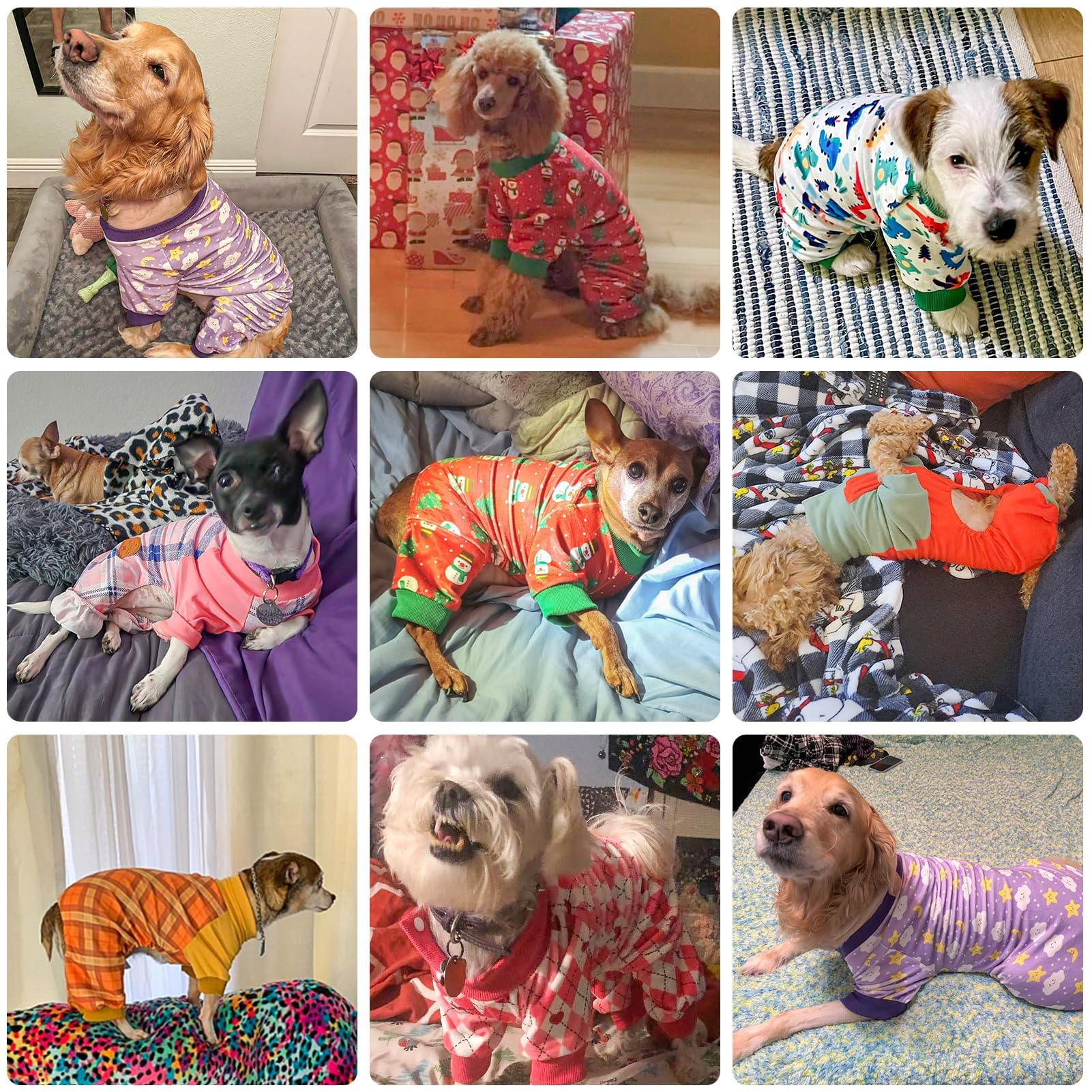 BEAUTYZOO dog pajamas shown from the back to display the rear coverage.