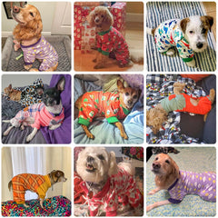BEAUTYZOO dog pajamas shown from the back to display the rear coverage.