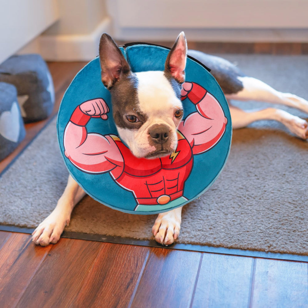 BEAUTYZOO donut collar shown deflated for storage.