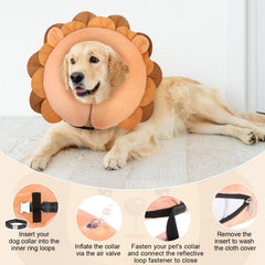 BEAUTYZOO donut collar shown worn by a pet during recovery.