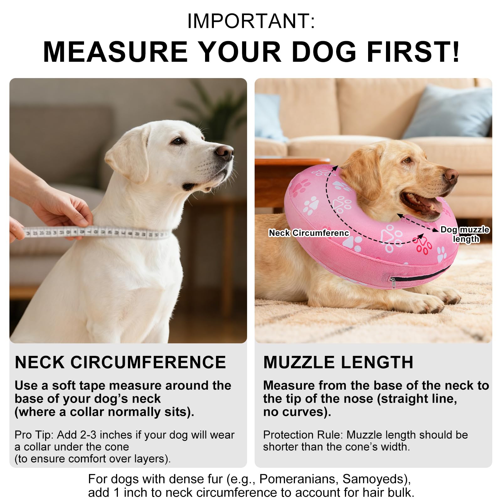 BEAUTYZOO dog donut collar with its reflective design detail.