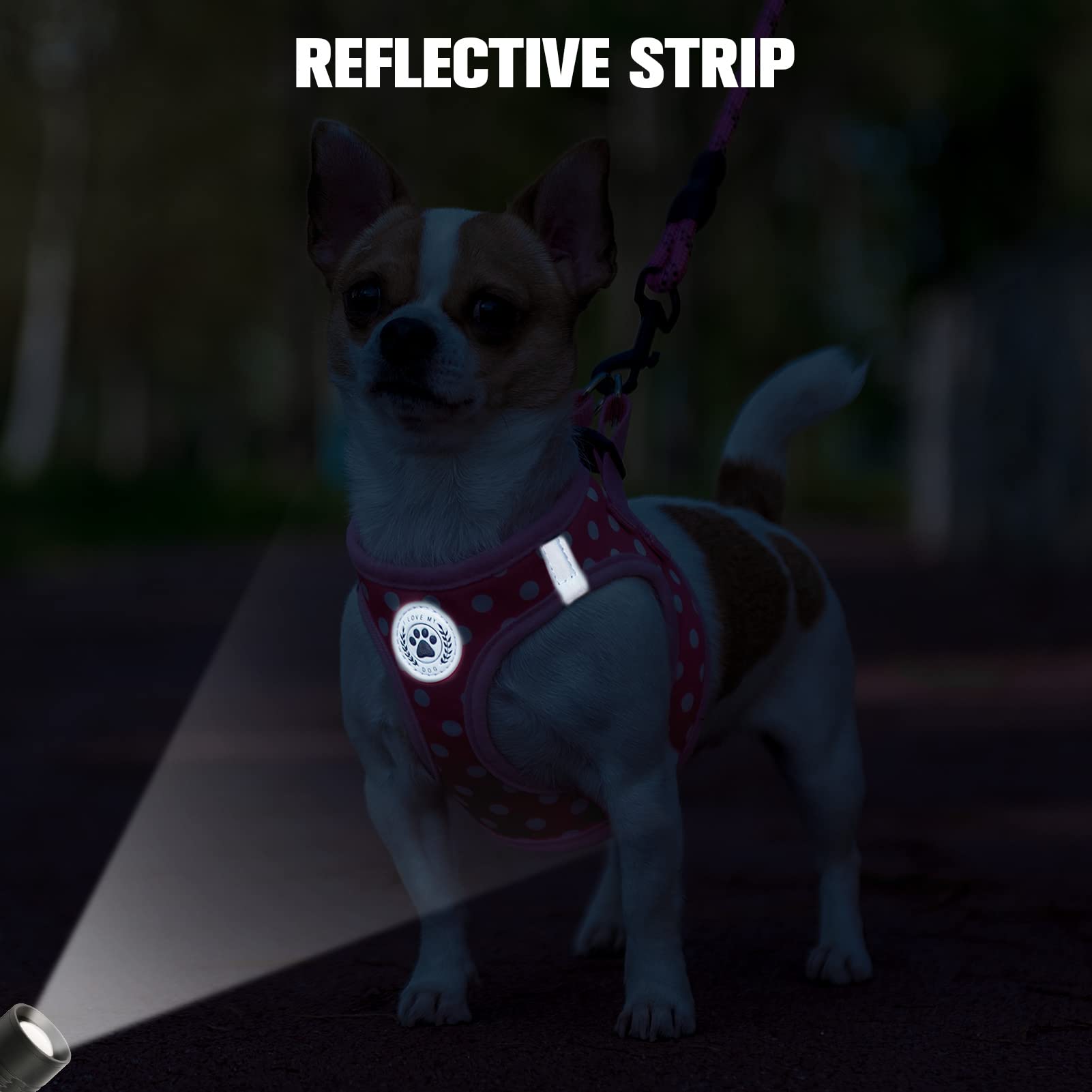 BEAUTYZOO dog harness and leash set shown together as the included pieces.