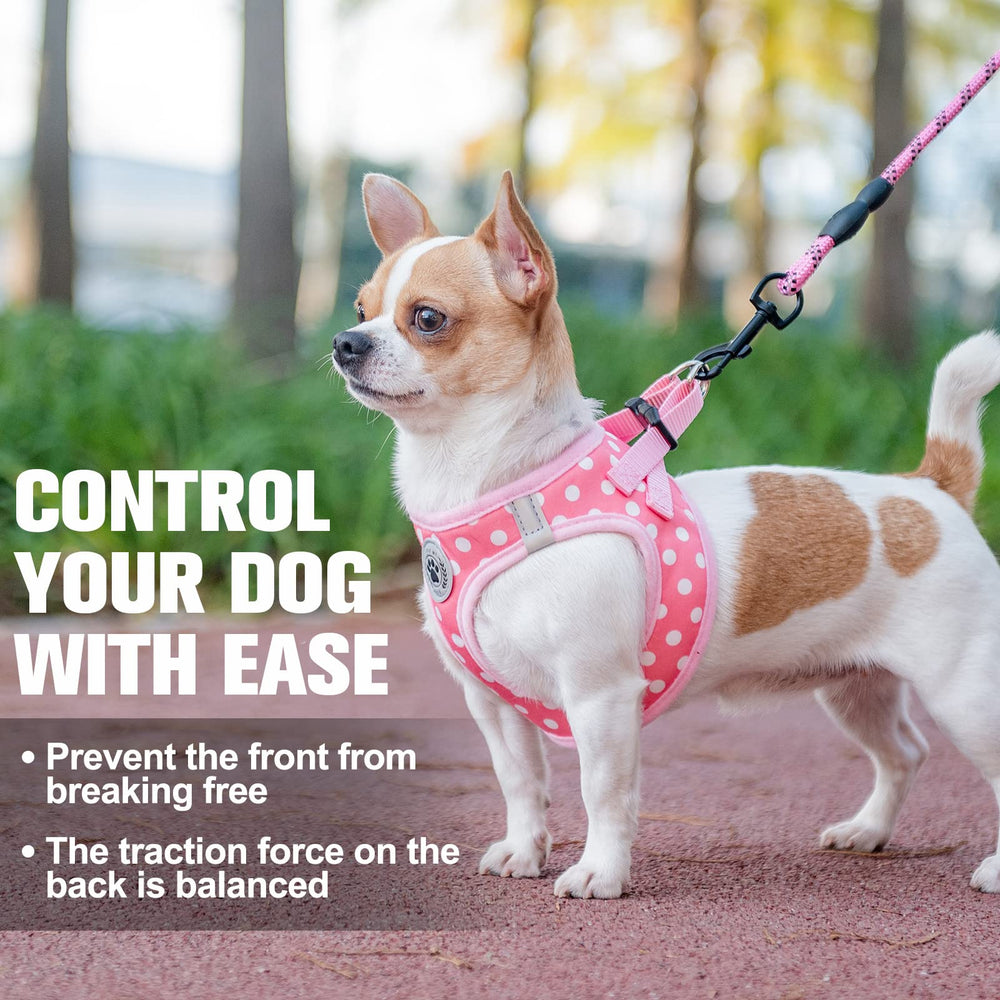 BEAUTYZOO harness and nylon leash presented together as a matching set.