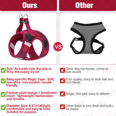 BEAUTYZOO dog harness detail showing the buckle and double D-rings.