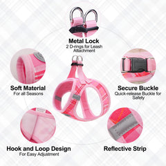 BEAUTYZOO small dog harness and leash set showing the fastening and D-ring details.