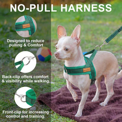 BEAUTYZOO dog harness strap detail showing reflective stitching.