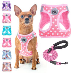 BEAUTYZOO harness and leash set in pink with a polka-dot pattern, shown from the front.